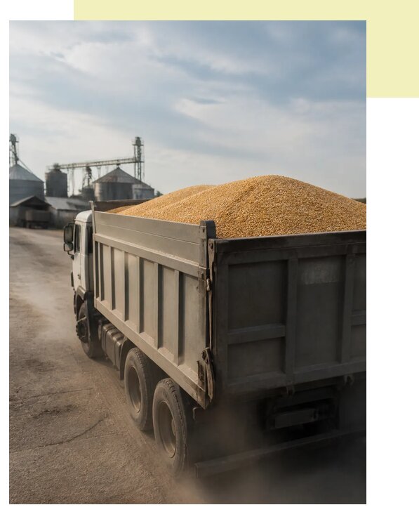 Перевозка сельхозпродукции навалом в Климовск по цене от 3038 р. | Агросервис-Клс